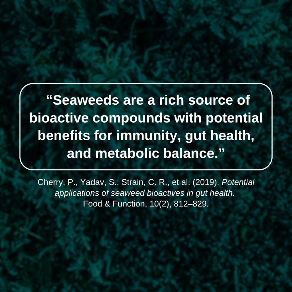 Caribbean Sunrise Sea Moss Gel