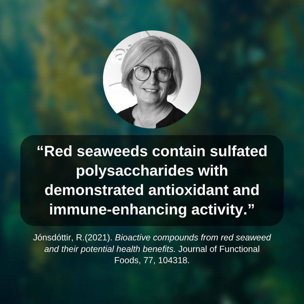 Caribbean Sunrise Sea Moss Gel