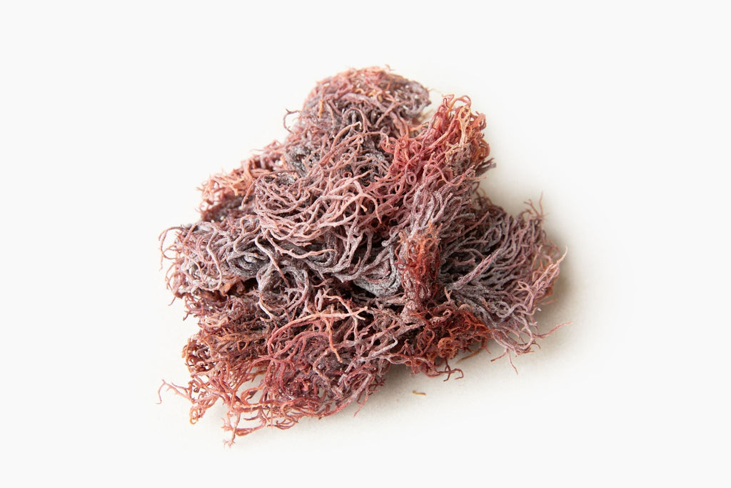 Raw Royal Purple Sea Moss
